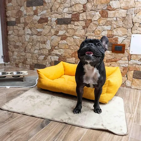 Σπίτι διακοπών Casa Zoe Μπαρλέτα